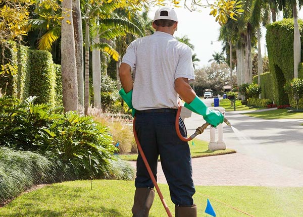 About Meridian GA Pest Control Pros